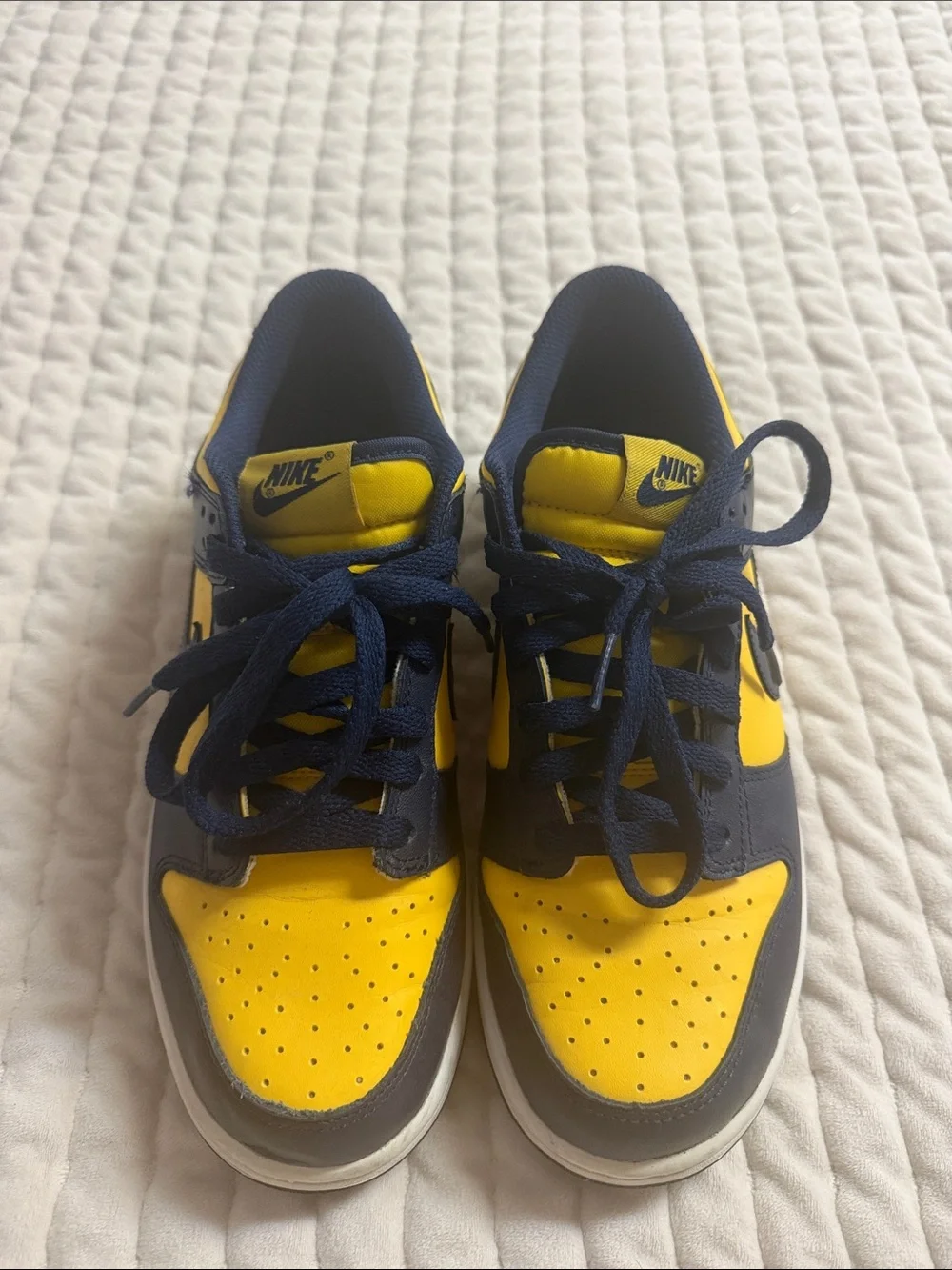 Nike classic low